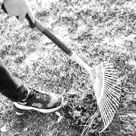 Servicio de limpieza y mantenimiento de jardines