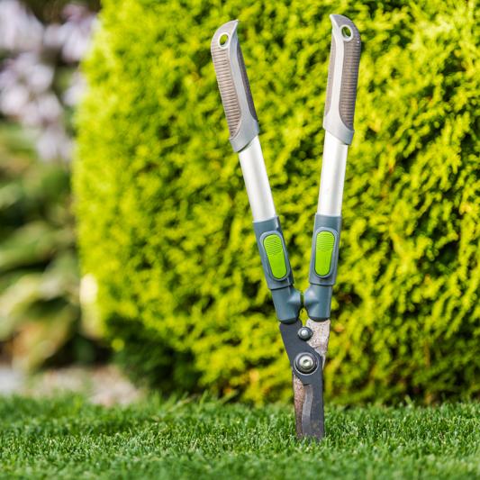 Servicio de mantenimiento de jardines, riego y poda